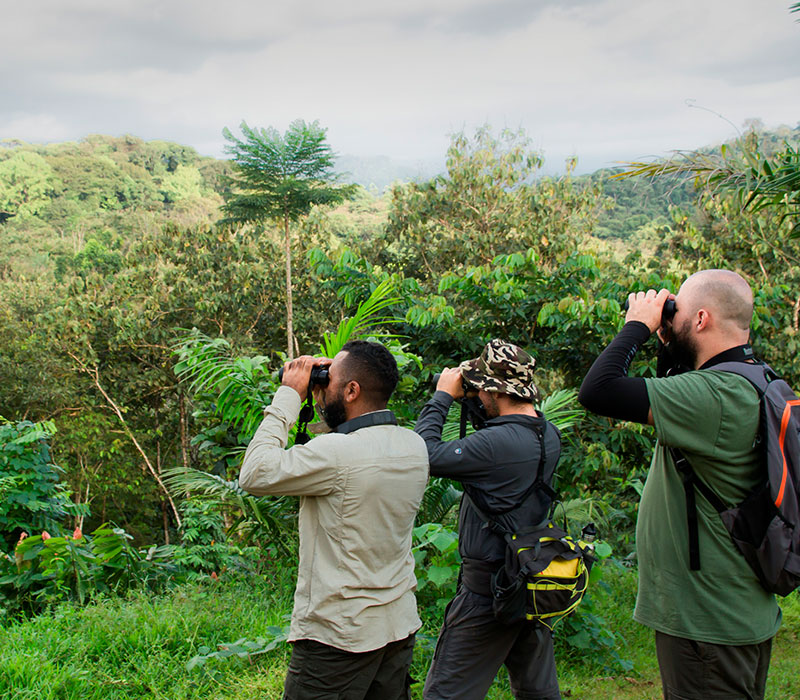 Copia-de-Copia-de-Birders-2