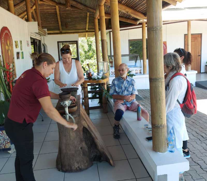 cacao-tour-2.jpg