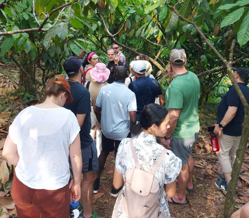 cacao-tour-4.jpg