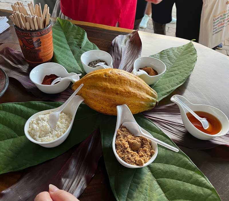 cacao-tour-5.jpg